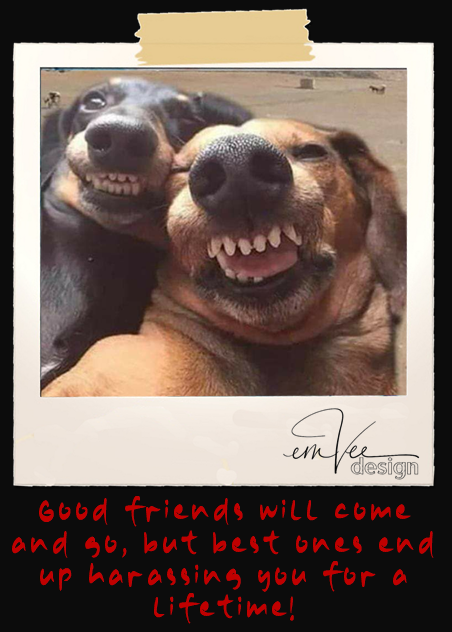 BEST FRIENDS BEST FRIENDS